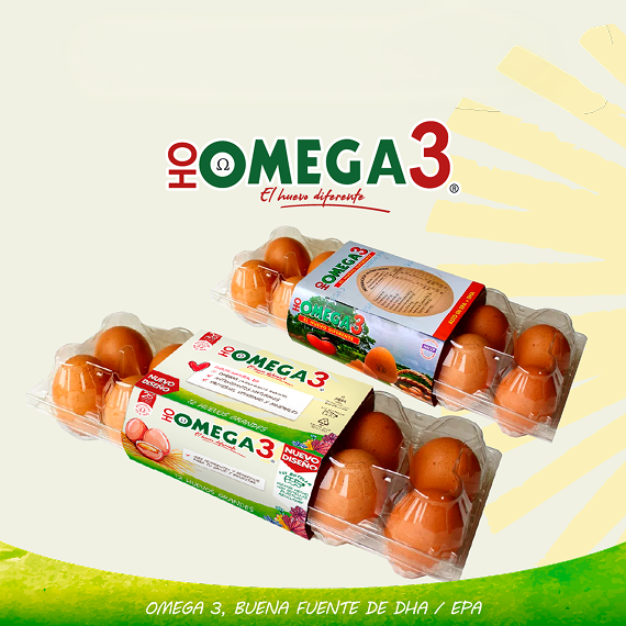 Huevo Omega 3 Grande 6 unidades